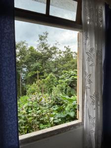 Rokas Eco Retreat Farmstay