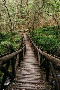 Welcome Douro - Eco Camping Resort