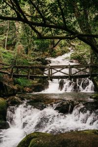 Welcome Douro - Eco Camping Resort