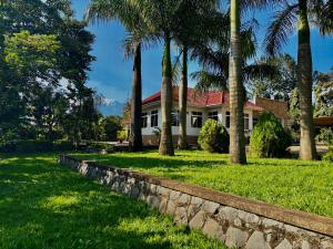 Lemosho Homes