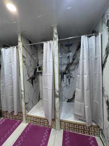 UB NEST-guest house