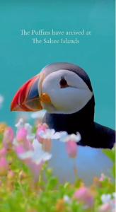 Quiet Room in Wexford with Local Charm