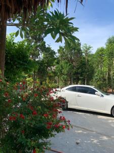 Pine Garden Homestay Hue