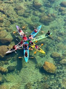 Shawn camps shnongpdeng