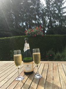 Cozy family home in Champagne-en-Ardenne 8p