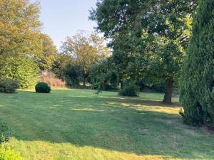 Cozy family home in Champagne-en-Ardenne 8p