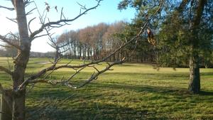 Détente au golf des etoiles