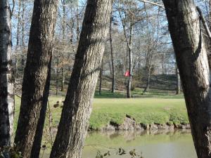 Détente au golf des etoiles