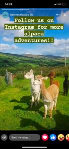 Creggan Deveskey Homestead Joe McGarrity past residence