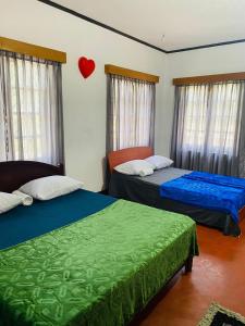 Camellia Hill Nuwaraeliya