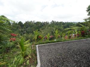 Casa Matā Phitā Cottage
