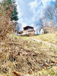 Stone Room with jacuzzi Sinaia