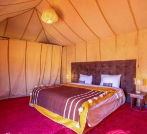 Luxurious Desert Camp