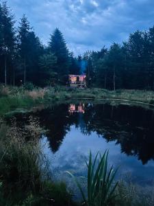 Skovly - et lille eventyr med udsigt og bålhygge