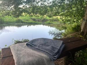 Skovly - et lille eventyr med udsigt og bålhygge