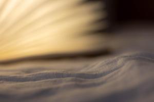 Le Temps de Livresse