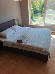 Садиба FAM-KIVI