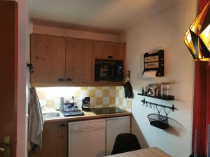 Résidence LAlbane, 4 pers, skis aux pieds, piscine et parking