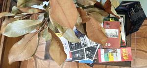 Rombolino Guest House -Free Parking - Vicino al PalaLivorno "Modigliani Forum"