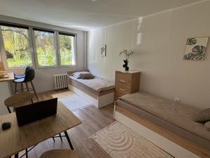 Apartament Lumen