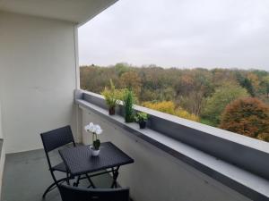 Deluxe Studio Apartment with balcony and view