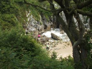 Apartamentos Playa La Franca