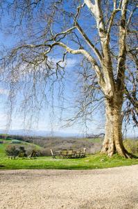 Maisons d'hotes Chateau d’Orion : photos des chambres