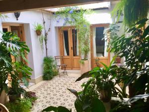 Apartamento en Casa Patio "Pan y Conejo"