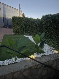 El jardín de las piedras