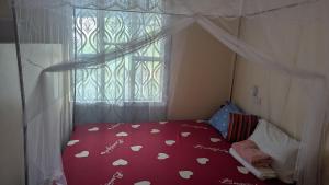 Lake natron Naibala Bed&Breakfast