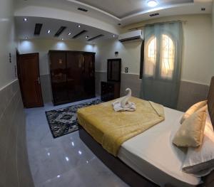 دولفين هاوس - Dolphin House