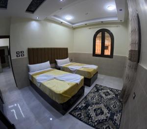 دولفين هاوس - Dolphin House