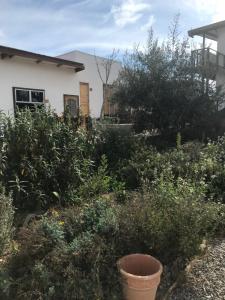 Eco Lodge Lorotuerto