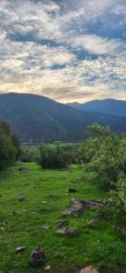 Parcela privada, Cabaña y Tinaja, Quincho, Naturaleza