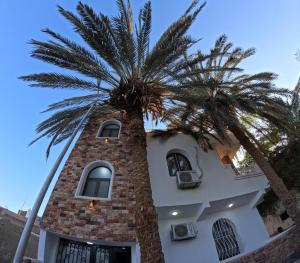 دولفين هاوس - Dolphin House