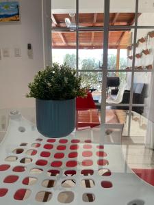 Incredible apartment in Cap Cana near Dorado Park and Scape Park