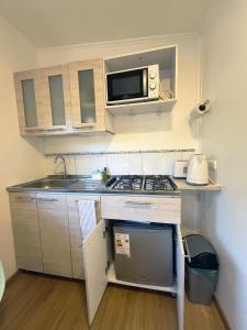 Cabaña Ensenada, Puerto Varas - 1 ambiente