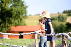 Idyllic Family Getaway on a Working Farm in Transylvania, Romania