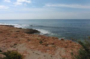 Nice seaside nest with private garden and carpark