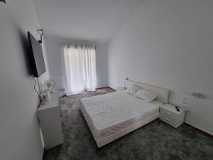 Hidden Gem between Waves & Mountains