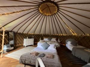 Chestnut - Yurt