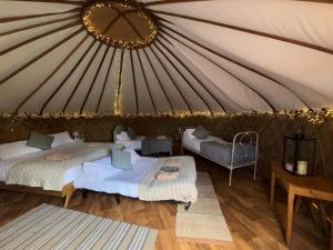 Chestnut - Yurt