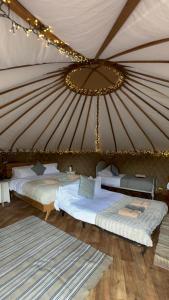 Chestnut - Yurt