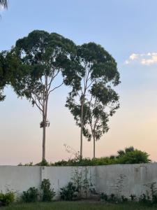 Villa 5 with Private Pool