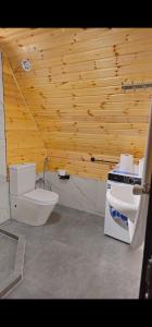 Kolkheti Eco Cottages livlivi ლივლივი - big cottage