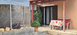 FarmHouse near Airport