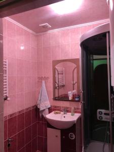 Закарпатський струмок