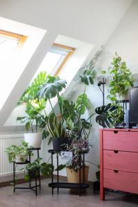 Floral Bliss Apartment