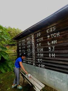 Shonikebi Guest House