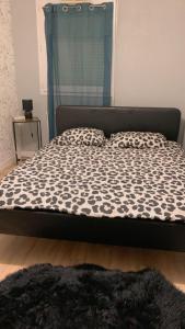 Appartement Cosy rive gauche